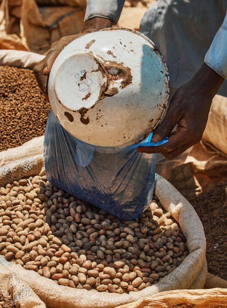 Close-up of peanuts being measured and bagged in Zaria's open market.